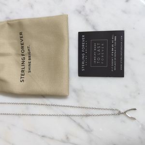 Sterling Forever Wishbone Necklace